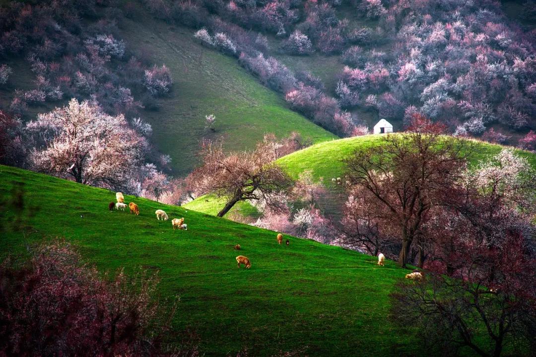 春季自驾游最美路线推荐,春季适合自驾游路线推荐
