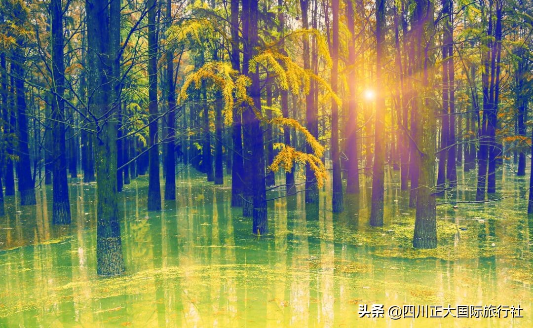 浙江十大海边露营地排名,10大星空露营地