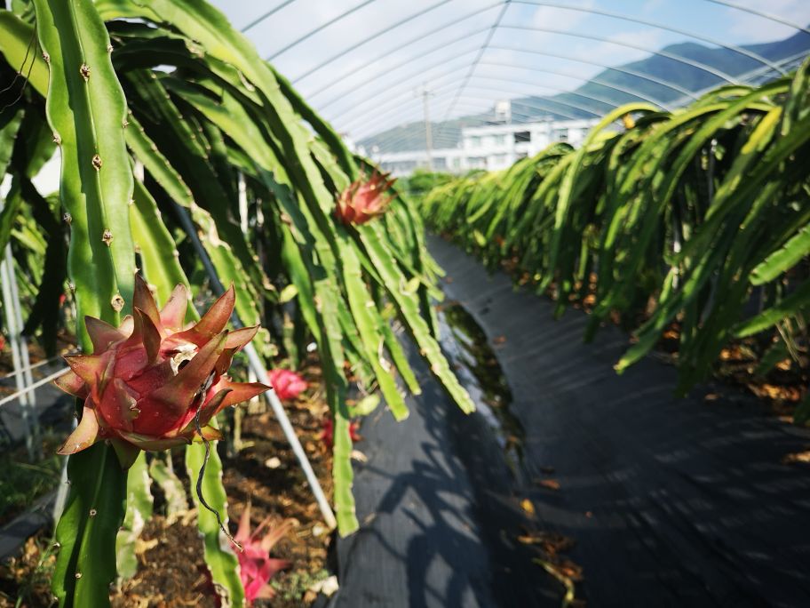 摄影胜地霞浦之旅,福建霞浦之旅第一站