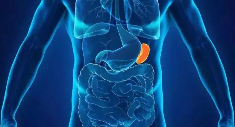 人的脆弱部位有哪些,人身上脆弱的部位