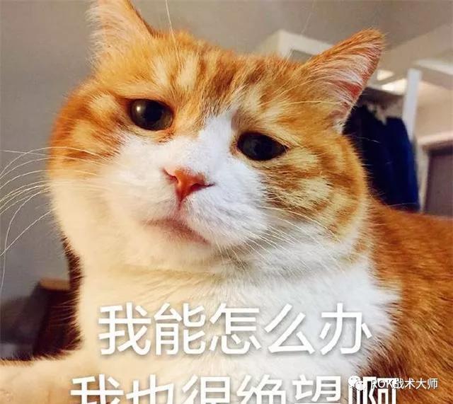 万国觉醒骑兵金装四件套,万国觉醒紫装和金装