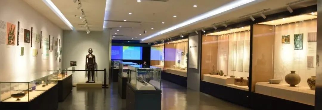 中国天然氧吧在惠州哪里,惠州大自然氧吧