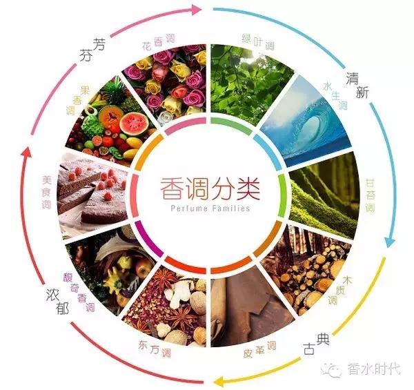 新手入门从零开始视频,入门的香水