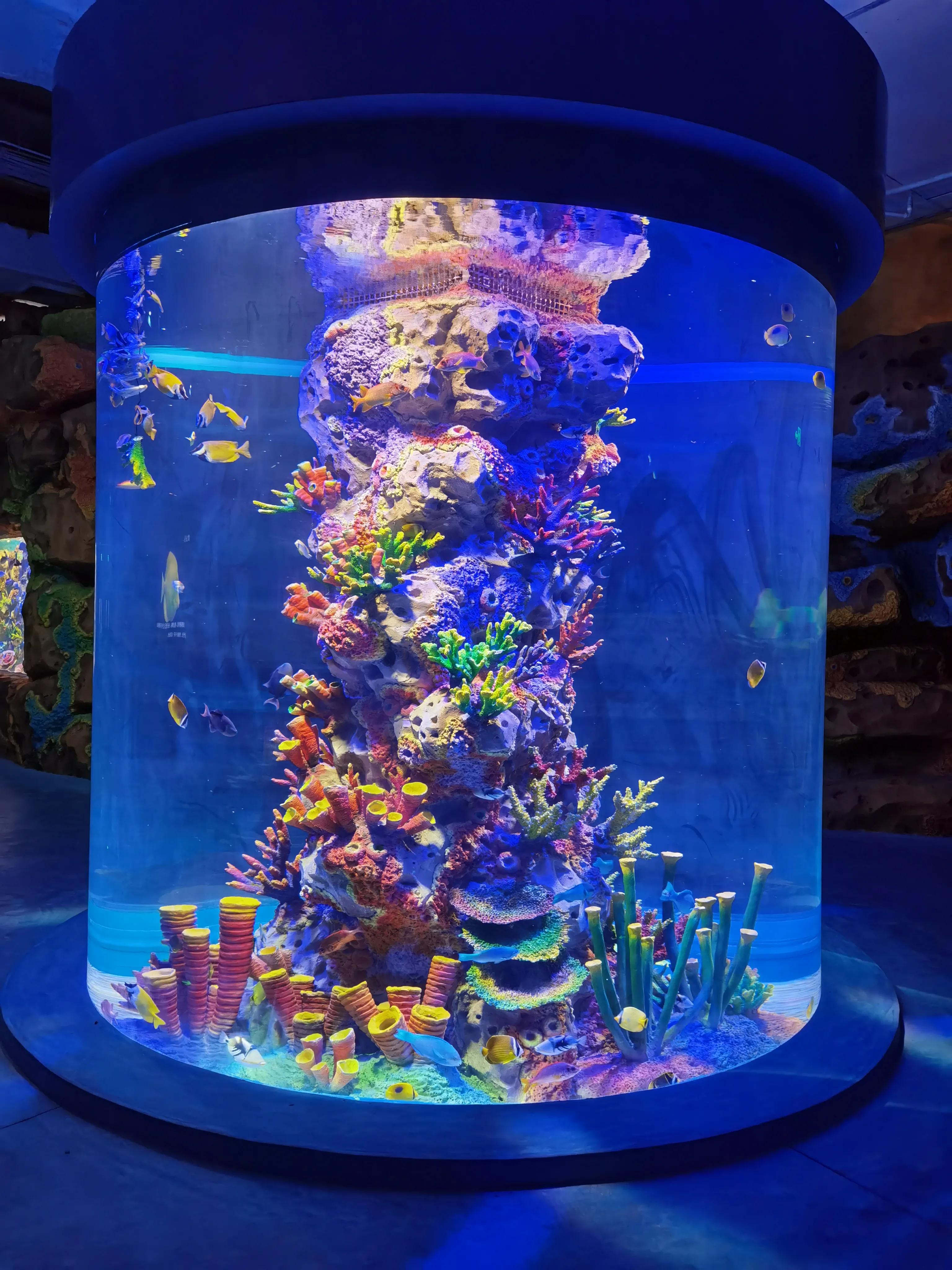 天津海洋馆新开的儿童乐园,天津适合孩子玩的水上乐园