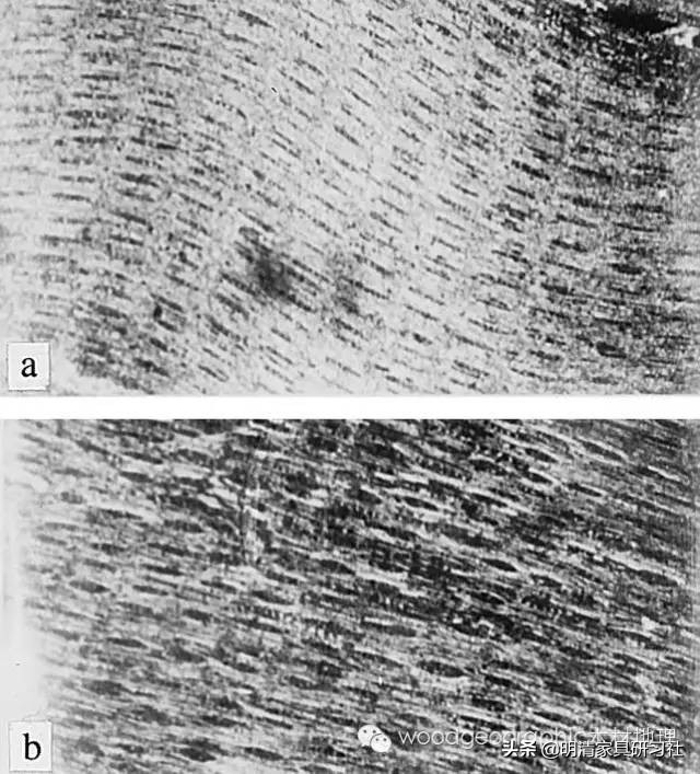 一文读懂沉香,一文读懂瓷器