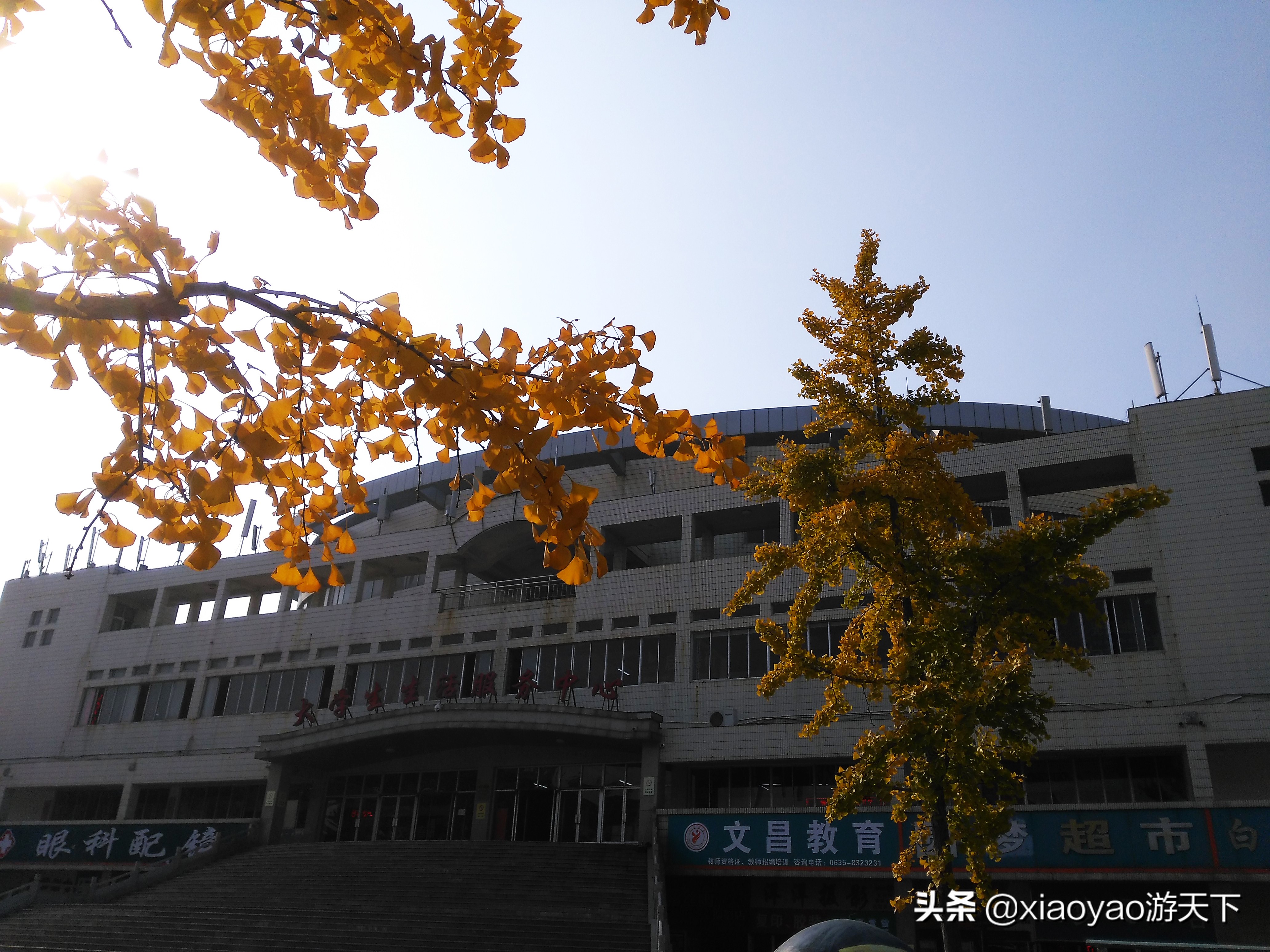 最美大学之旅——江北水城第一学府聊城大学