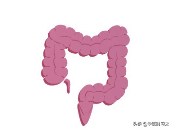 食物变成大便是什么过程,食物变成大便所需要的时间