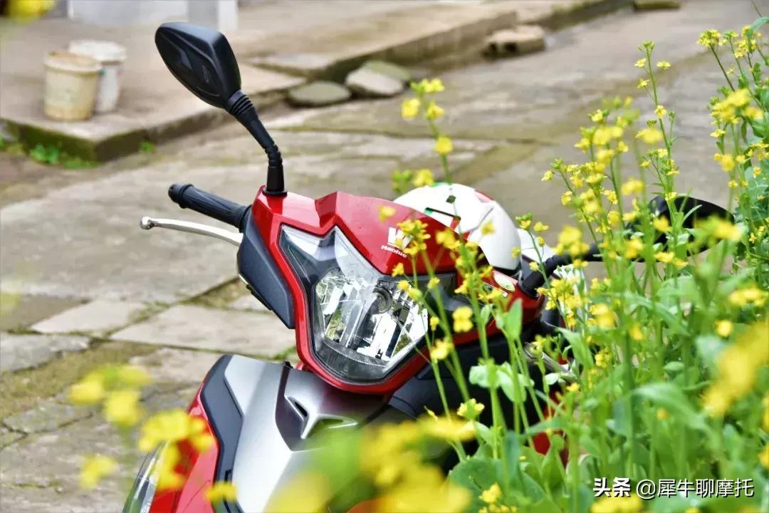 踏板车买国产的还是合资的,国产踏板车125价格