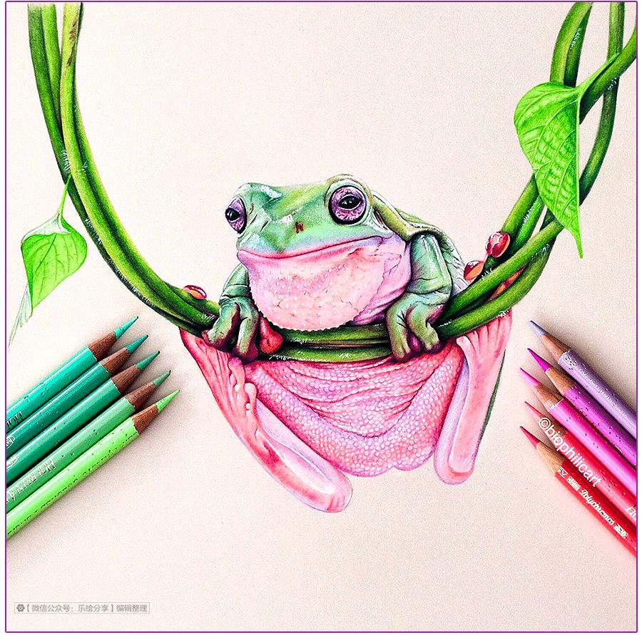 圆形牛皮纸彩铅画花鸟,彩铅画绿藤花鸟图片大全