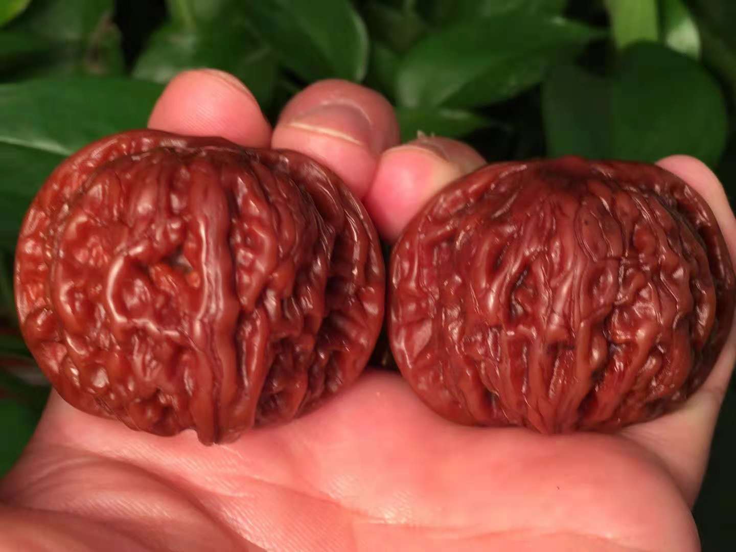 文玩核桃如何盘才能有效,刚入手的文玩核桃怎么盘