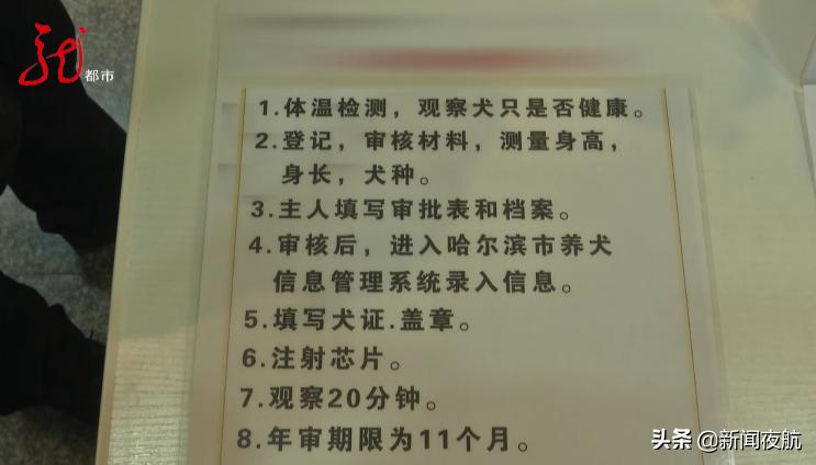 哈尔滨有关狗的政策条例,哈尔滨哪些狗不能办狗证