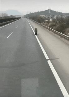 为什么败顶的人不直接剪个光头,评论区笑死你