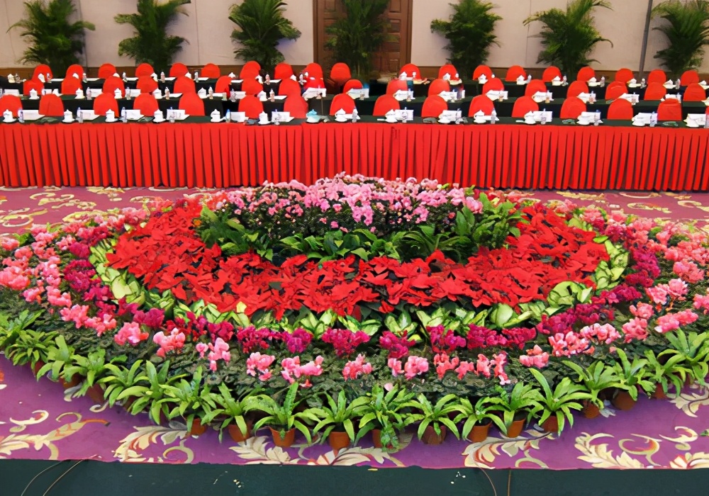 花卉租摆报价表怎么做,花卉租摆属于什么行业