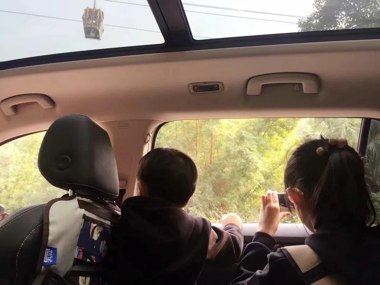 长隆野生动物世界到珠海海洋王国,去长隆野生动物世界需要注意什么