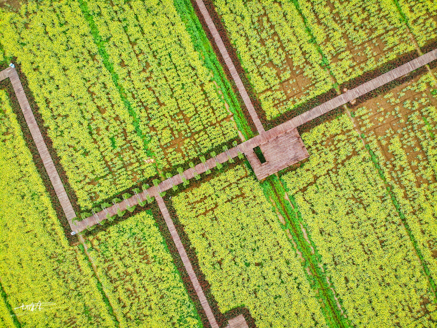 梦里水乡乌镇周庄风景视频,周庄版梦里水乡