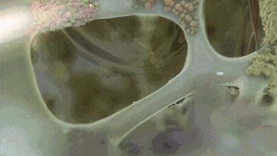 公认最好用的10大国产眼霜,国产好用不贵的4款眼霜