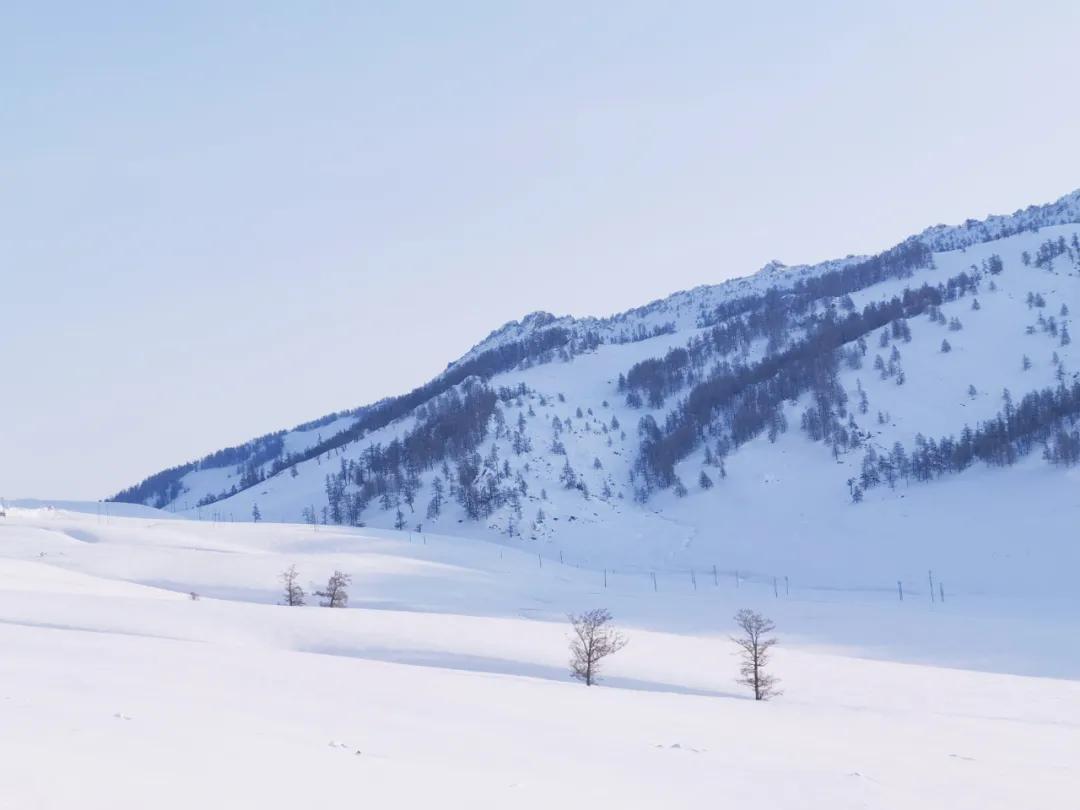 醒图appp图教程,好用的修图app教程