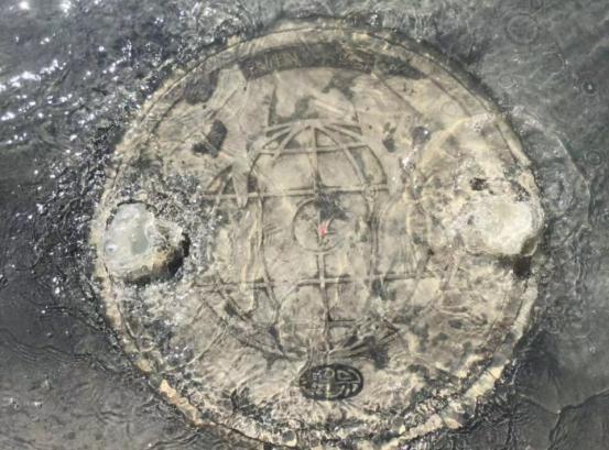 保定晚八点新闻,今天保定什么新闻