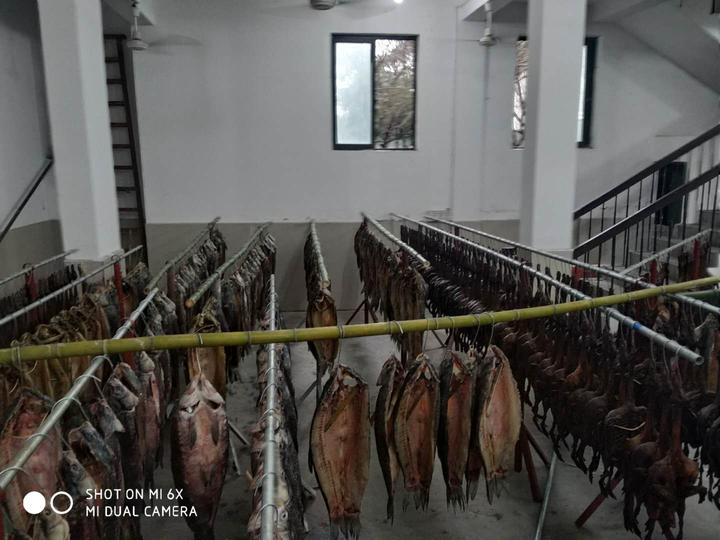 落雨天晒不了酱鸭和鱼干,杭州人不能忍啦!