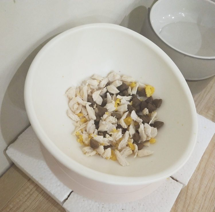 夏天猫咪食欲不振掉毛严重怎么办,猫咪夏季应该吃什么