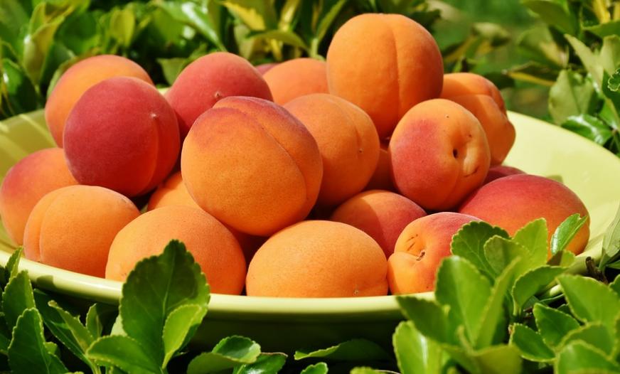 夏季这5种“危险”水果，可致孩子过敏、脑炎，再好吃也不能乱吃