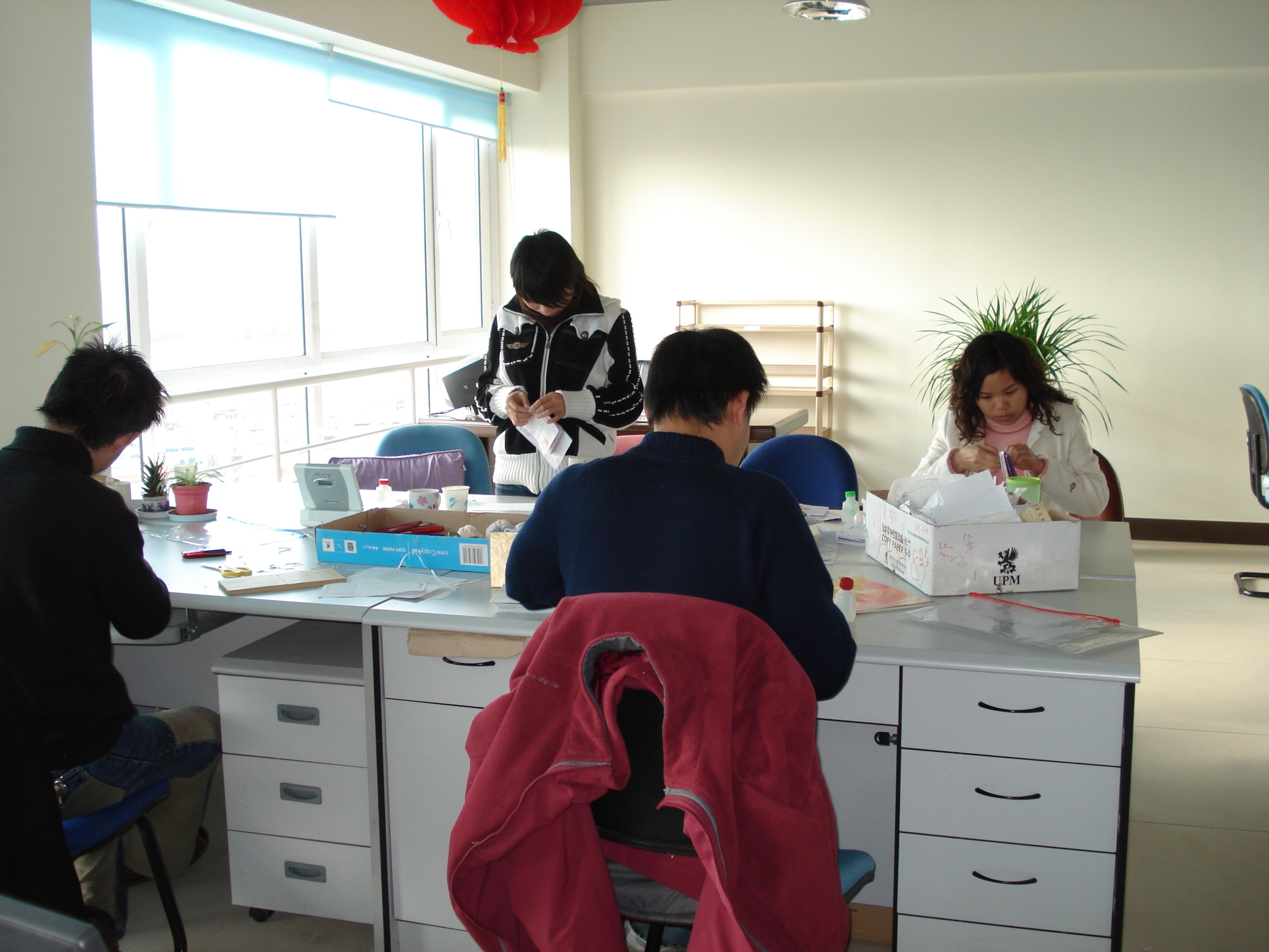 会计从业证书取消有什么影响,会计从业证取消后变成什么