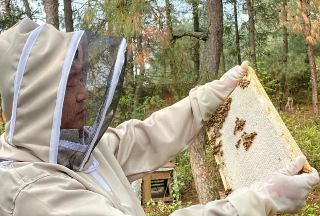 蜂蜜怎么才能结晶成猪油一样细腻,蜂蜜怎么结晶一粒粒的