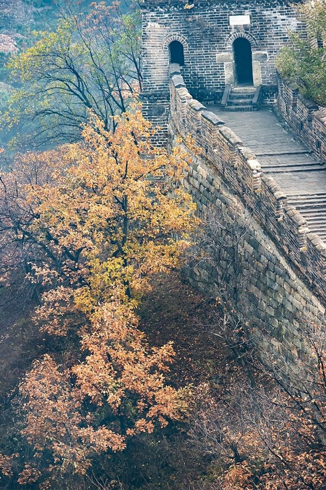 25句排比句用于作文绝对加分,排比句作文开头结尾摘抄大全