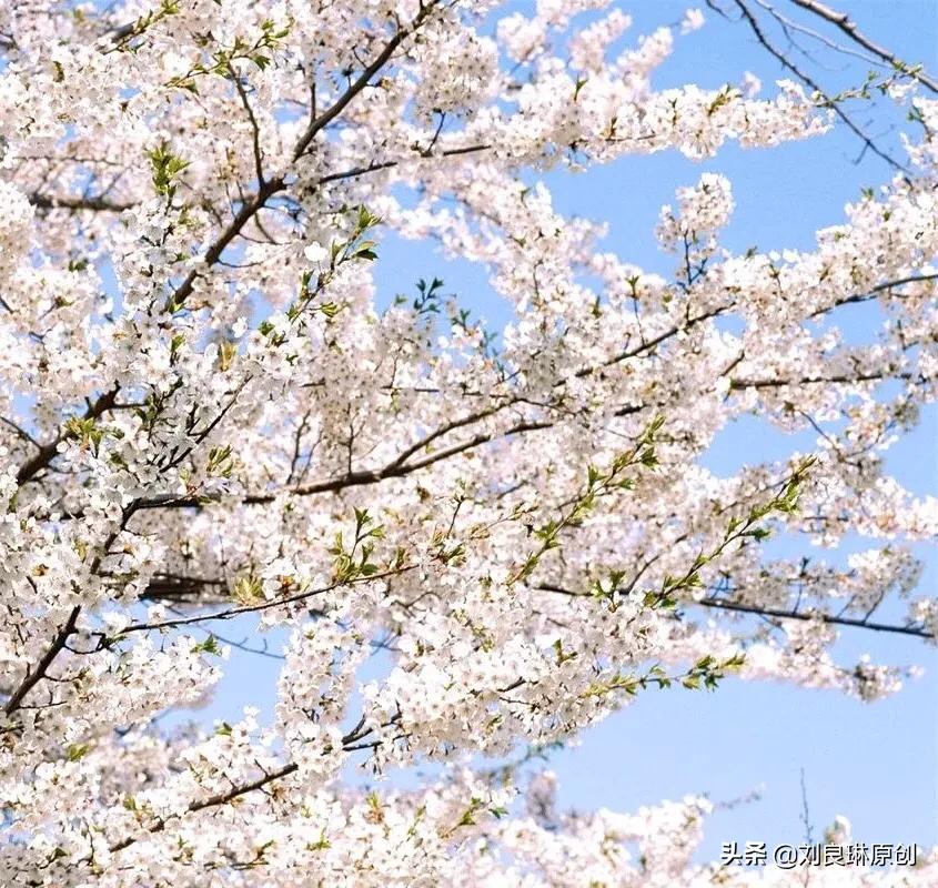 我对的对联在哪里找到,我对的对联