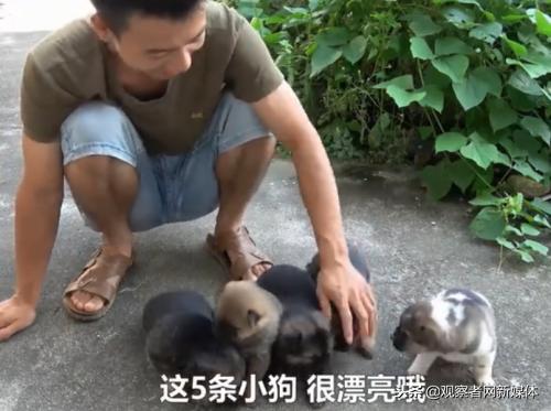 鍗庡啘鍏勫紵鍙嬫儏,鍗庡啘鍏勫紵娌宠竟