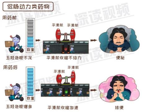 减肥运动期间为啥总是便秘,减肥期间便秘了怎么办