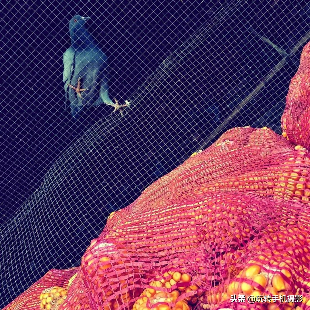 照片很暗没层次怎么调,照片拍出来丑的很奇怪