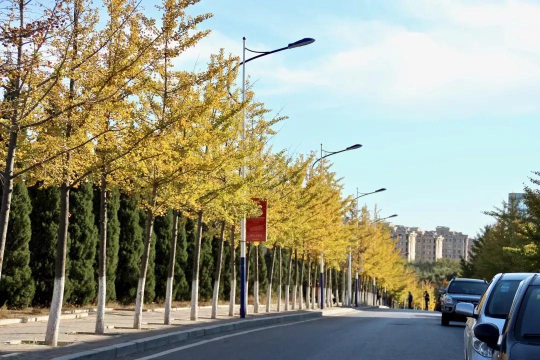 辽宁省高校(三十二)大连外国语大学