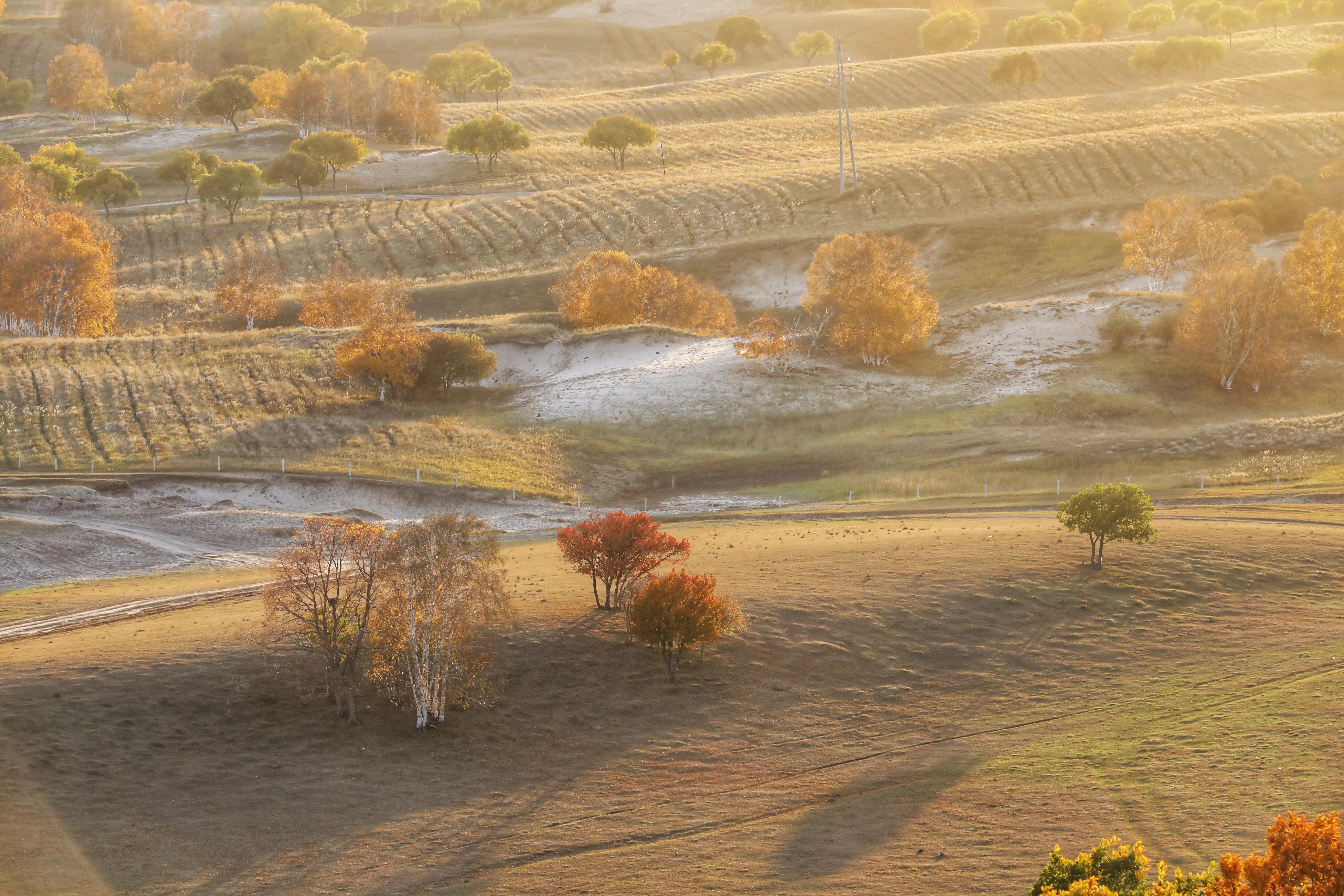 坝上秋色草原,坝上草原游记作文