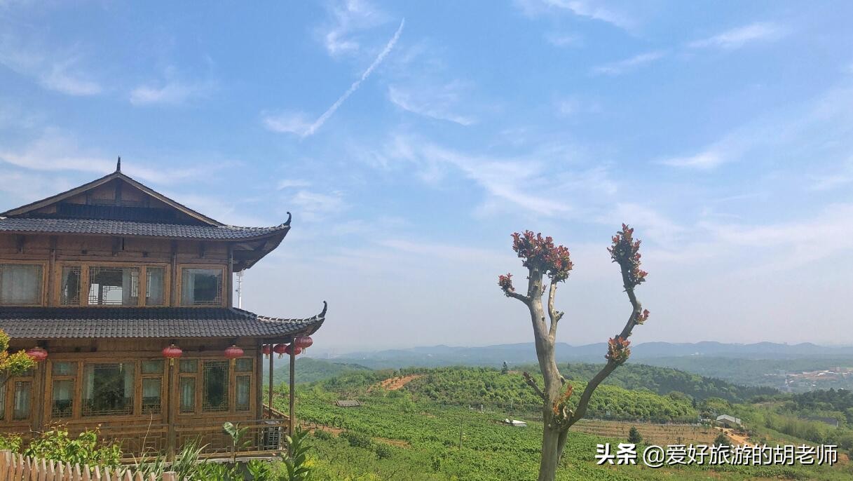 这果园被誉为长沙“花果山”,能玩滑翔伞的果园,比百果园更美