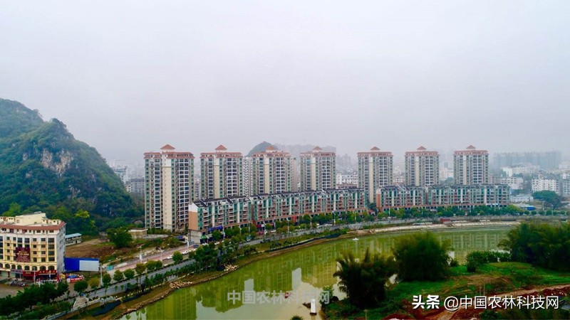 神秘幽静大桂山国家森林公园！一县一品，广西八步农特产品红瓜子