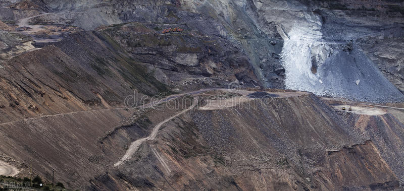 2015年林蛙多少钱一斤,2020年林蛙