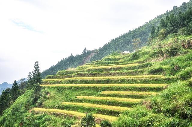 韶关丹霞梯田图片,韶关旅游梯田攻略图片