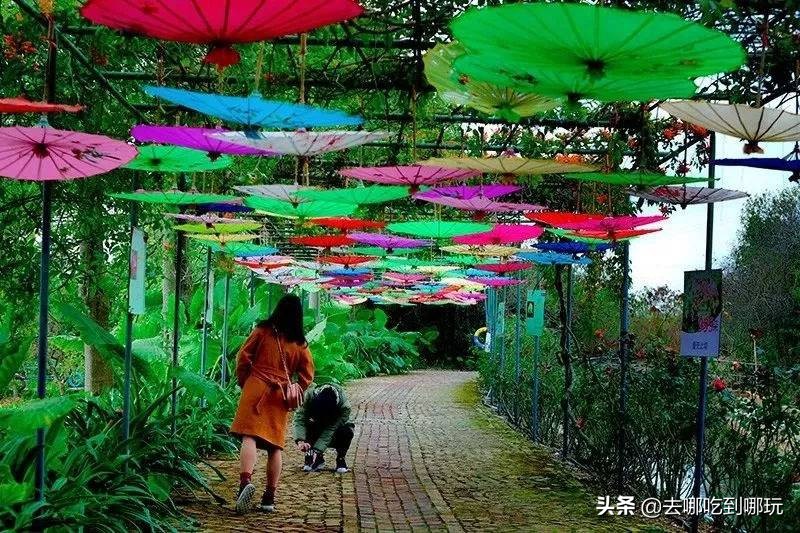 38抢从化宝趣玫瑰世界1大1小票赏春赏花赏美景不负*光春**不负卿