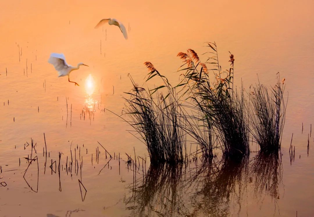 福州有这样的宜居样本？坐拥山河湖海，生态是它的底色