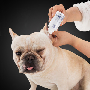 狗狗身上的异味怎样去除,家里养狗狗怎么去除异味呢