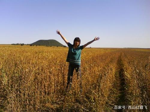 也忆＂拾豆”往事