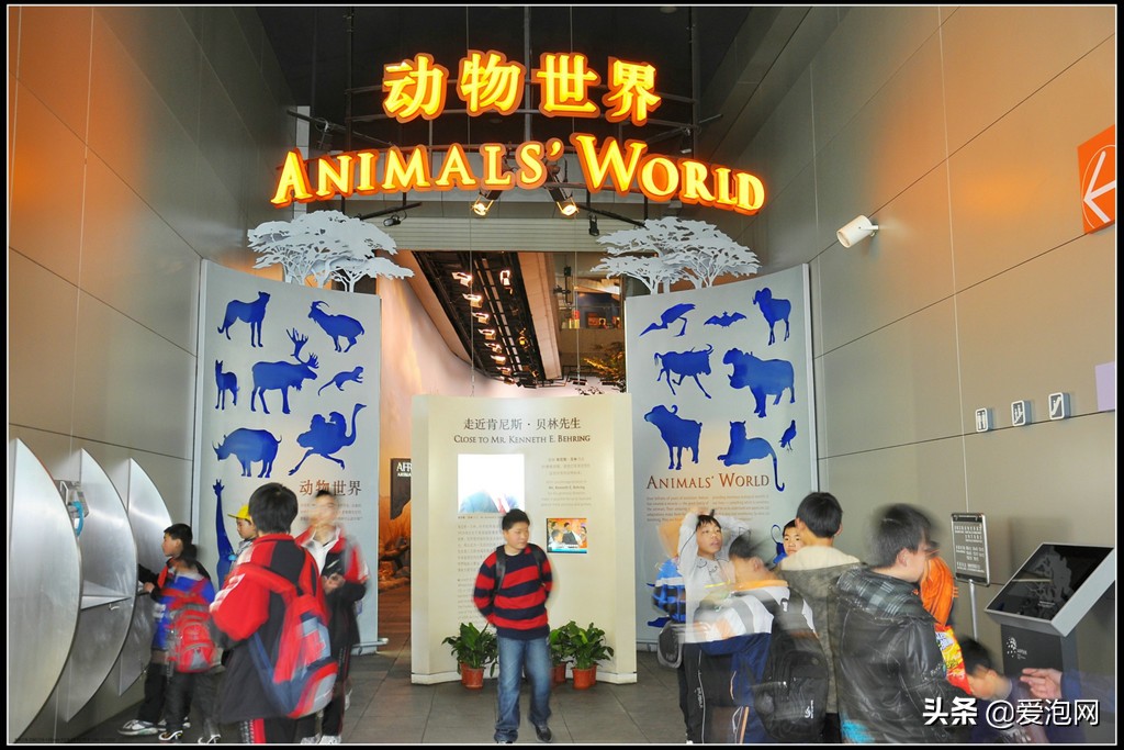 上海天文馆和科技馆哪个更值得去,上海自然博物馆和科技馆哪个好玩