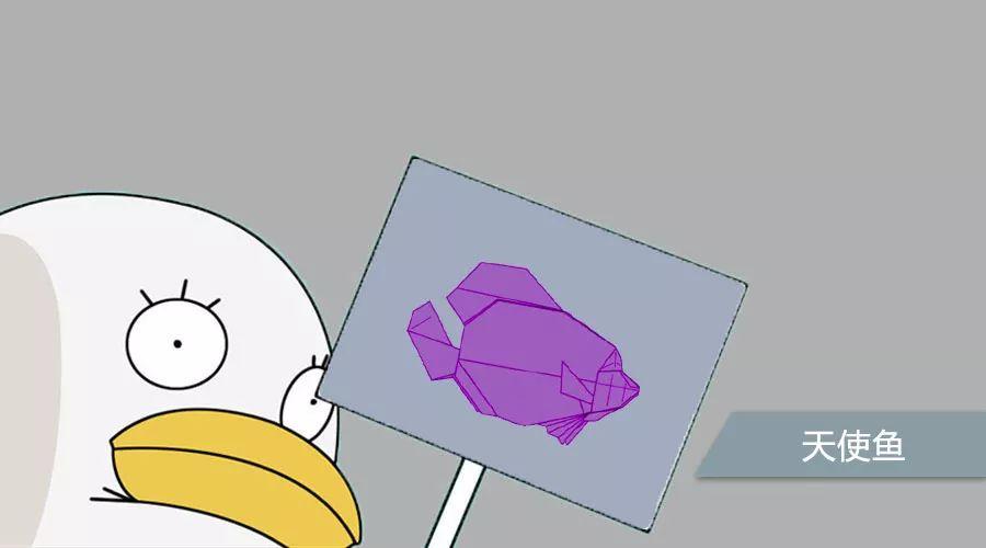 鎶樺ぉ浣块奔,鎶橀奔