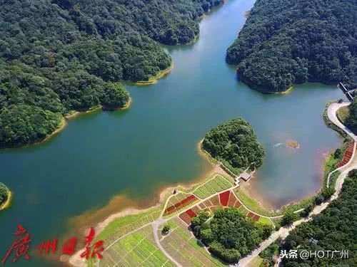 广州绿道攻略,广州旅游观光1线