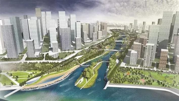 “遇上大湾区,遇上了创业的好时机”——香港青年逐梦深港科技创新合作区