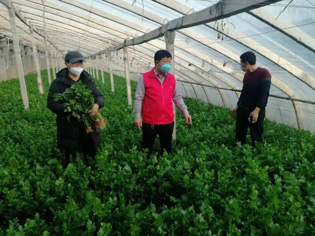 河南济源：推着小车来送货——纸方*党**支部书记靳李中义务“代购员”小记