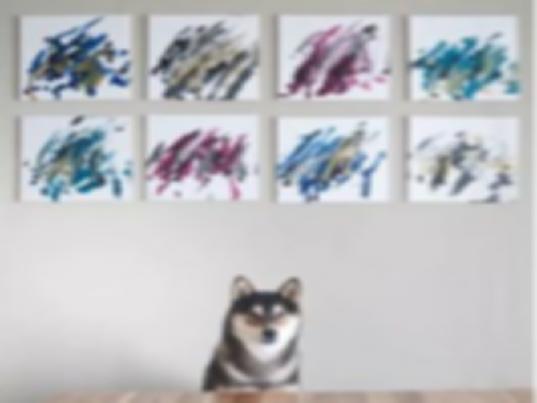 30000人民币！狗子赚口粮大招！铲屎官速进