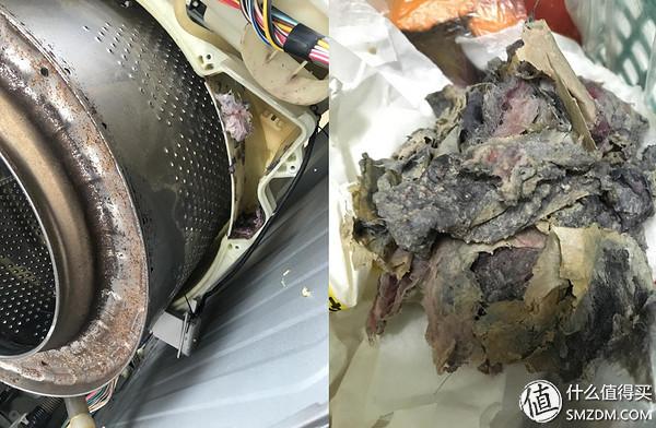 听说你要买洗衣机不知道怎么选，让我来告诉你