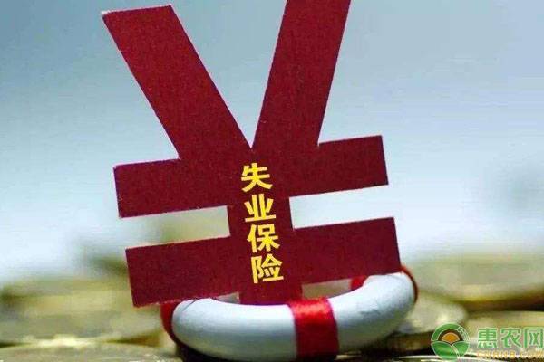 失业金领取条件如何领取,失业金领取条件及标准怎么领贵州